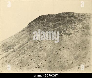 . L'Oölogiste pour l'élève des oiseaux, de leurs nids et de leurs oeufs . L'OOOLOGIST. Vue générale et site de nidification des aigles d'or, avec roche blanchie à la chaux. Photo prise à une distance d'un demi-mile, par F. 0. Willard L'OOOLOGIST L'EAGLE D'OR DANS COCHISECOUNTY, ARIZONA. Par F. C. Willard, Tombstone, Ariz. pendant quelques années après avoir pris myResidence en Arizona, j'ai fait une série d'efforts sans succès pour locatenêtes de l'Aigle d'or (aguilacrysaetos). Avant l'année 1910, j'avais localisé mais deux. Un nid de l'aaac a déserté dans le canon Ramsay des montagnes Huachuca, et l'autre était sur une inacces Banque D'Images