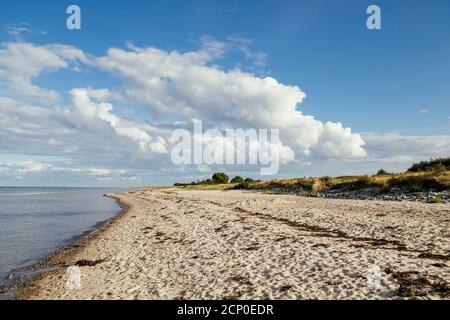 Strand à Maasholm, Mer Baltique, Allemagne Banque D'Images