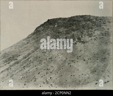 . L'oïste . L'OOOLOGIST. Vue générale et site de nidification des aigles d'or, avec roche blanchie à la chaux. Photo prise à une distance d'un demi-mile, par F. 0. Willard L'OOOLOGIST L'EAGLE D'OR DANS COCHISECOUNTY, ARIZONA. Par F. C. Willard, Tombstone, Arizona, pendant quelques années après avoir pris myResidence en Arizona, j'ai fait une série d'efforts sans succès pour locatenestes de l'Aguilacrysaetos d'or (aguilacrysaetos). Avant l'année 1910, j'avais localisé mais deux. Un nid de l'aaac a déserté dans le canon Ramsay des montagnes Huachuca, et l'autre était sur une falaise inaccessible dans le canon Carr des mêmes montagnes. Po Banque D'Images