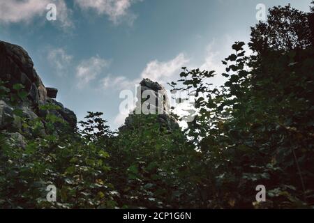 Forêt de Teutoburg autour de l'Externsteine à Horn-Bad Meinberg, Rhénanie-du-Nord-Westphalie, Allemagne Banque D'Images