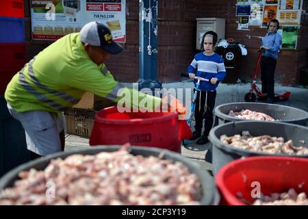 Deux jeunes garçons juifs orthodoxes en scooter regardent un agent d'assainissement déplacer un baril de pièces de poulet dégardées d'un magasin de transformation de viande casher voisin, avant le début du nouvel an juif « Rosh Hashanah. Dans la section de Williamsburg du quartier de Brooklyn à New York, NY, 18 septembre 2020. Rosh Hashanah marque le premier des jours Saints juifs, est observé avec des célébrations, priant dans la synagogue, le son du Shofar (corne du bélier), et mangeant des aliments symboliques tels que des pommes enrobées de miel pour évoquer un nouvel an doux. (Anthony Behar/Sipa États-Unis) Banque D'Images