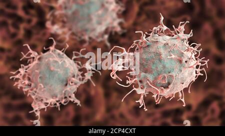Cellule de cancer de la peau, illustration de l'ordinateur. Banque D'Images