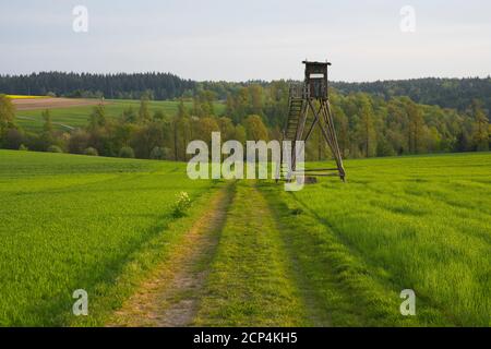 Route de la terre, champ, stand de chasseur, matin, printemps, Vielbrunn, Michelstadt, Odenwald, Hesse, Allemagne Banque D'Images