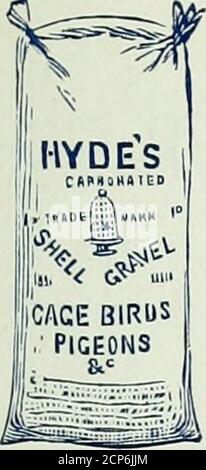 . Notes d'oiseau . HYDES SPÉCIALITÉS DE NOURRITURE D'OISEAUX.. GRAIN TONIQUE HYDES PATENTIRON. Incorporé avec leur ShellGravel pour cage Birds.vendu Ill Calico sacs. HYDES ESTHÉTIQUE SEEDSFOR CHANT OISEAUX. NOURRITURE HYDESPARROT Banque D'Images