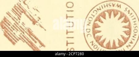 . Beiträge zur Kenntnis der Anatomie und physiologie der Athemwerkzeuge BEI den Vögeln . Banque D'Images