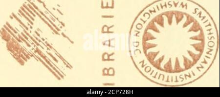 . Beiträge zur Kenninstitut der Anatomie und physiologie der Athemwerkzeuge BEI den Vögeln . y&gt; - V) = (/&gt; NIOliniliSNI NVINOSHltlNS S3iyVb9n BIBLIOTHÈQUES SMITHSONIAN INSTUTIIVi z ^ 5 V----- BIINISNIANTI  SHINIANIYN^S                                                                                   Banque D'Images