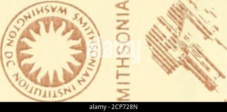 . Beiträge zur Kenntnis der Anatomie und physiologie der Athemwerkzeuge BEI den Vögeln . I innAr&gt;irr» f^ftiiY-ii^«^ JI k li^f^l & lt;i?iiis&lt;ii,. y&gt; - V) = (/&gt; NIOliniliSNI NVINOSHltNS S3iYVb9n BIBLIOTHÈQUES SMITHSONIAN,. YITSITIV  SITIV  SIINSITIV  SIINSIINSITIV ^ 5- SIINSIINSITIV- BIN  SIINSIINSIINSITIV- BIN  SIINSIINSIINSIINSITIV- BIN  SIINSIINSIINSITIV ^ SIINSIINV- SIINSIINV- SIINV- SIINV- SIINSIINSIINSIINSIINV- SIINV Banque D'Images