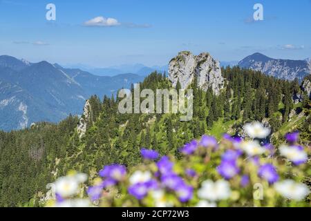 Vue de Laber à Ettaler Manndl (1636 m), Alpes d'Ammergau, Oberammergau, haute-Bavière, Bavière, sud de l'Allemagne, Allemagne, Europe Banque D'Images