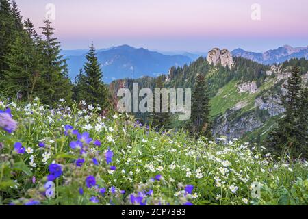 Vue de Laber à Ettaler Manndl (1636 m), Alpes d'Ammergau, Oberammergau, haute-Bavière, Bavière, sud de l'Allemagne, Allemagne, Europe Banque D'Images