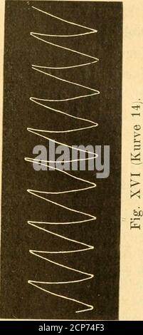 . Beiträge zur Kenntnis der Anatomie und physiologie der Athemwerkzeuge BEI den Vögeln . Banque D'Images