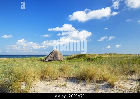 Gîte de chaume sur la plage à Wustrow, Fischland-Darß-Zingst, Mecklembourg-Poméranie occidentale, Allemagne, Europe Banque D'Images