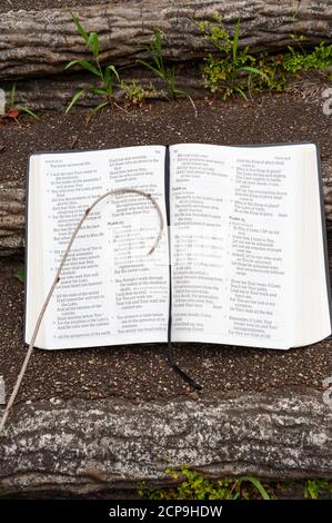 La Sainte Bible est ouverte avec un petit personnel sur le dessus. Mise en évidence de Psaume 23. À l'extérieur sur un escalier. Copier l'espace. Tir vertical. Banque D'Images