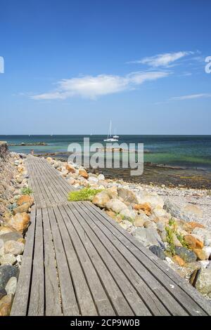 Chemin sur l'île pilote Schleimünde sur le Schlei, près de Maasholm, Schleswig-Holstein, Allemagne Banque D'Images