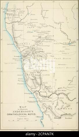 . Notes sur les oiseaux de la terre de Damara et les pays voisins de l'Afrique du Sud-Ouest . J,^IT 3!^:Di^;GA^n À ^Edoce FU:^THER DETERi-OPATIO:. NOTES LES OISEAUX DE LA TERRE DE DAMARA ET LES PAYS VOISINS OP AFRIQUE DU SUD-OUEST. PAR LE REGRETTÉ CHARLES JOHN ANDERSSON. AUTEUR DE ■ LAKE NGAMI ET DU OKAVANGO RIVF.R. AERANGED ET ÉDITÉ PAR JOHN HENRY GURNEY, AVEC QUELQUES NOTES SUPPLÉMENTAIRES PAR LE RÉDACTEUR, ET UN INTRODUCTORYCHAPTER CONTENANT UN CROQUIS DE LA VIE DES AUTEURS, ABRÉGÉ DE L'ORIGINAL PUBLIÉ EN SUÈDE. LONDRES : JOHN VAN VOORST, PATERNOSTER ROW MDCCCLXXTI. AXIIE y FLAMMAM.notesonbirdsofda00an Banque D'Images