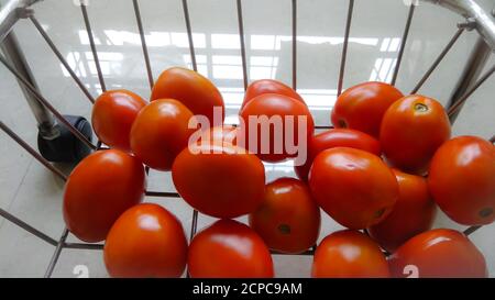 Tomates rouges brillantes organiques indiennes isolées dans un panier ou un panier avec une attention sélective. Banque D'Images