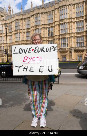 Le Brexit pro soutient les chambres du Parlement, après que la Grande-Bretagne ait voté pour quitter l'Union européenne, lors d'un référendum d'hier. Chambres du Parlement, Westminster, Londres, Royaume-Uni. 24 juin 2016 Banque D'Images