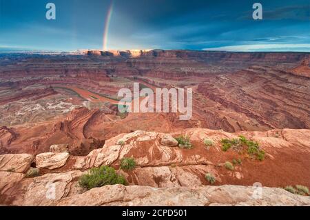 Arc-en-ciel après la pluie au-dessus des Canyonlands et du fleuve Colorado vu au lever du soleil depuis le parc national de Dead Horse point, plateau du Colorado, Utah, États-Unis Banque D'Images