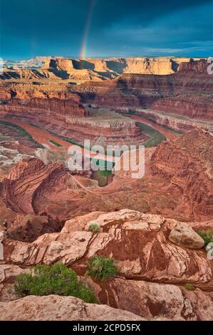 Arc-en-ciel après la pluie au-dessus des Canyonlands et du fleuve Colorado vu au lever du soleil depuis le parc national de Dead Horse point, plateau du Colorado, Utah, États-Unis Banque D'Images