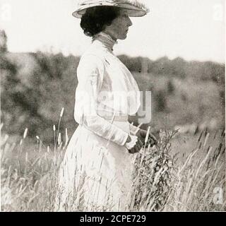 . Le livre des oiseaux, les oiseaux communs de la ville et du pays et les oiseaux de gibier américain . MÈRE ET FILLE Pliotographe par Einest Harold Baynes c'est une photographie d'un chiche sauvage qui nourrit son jeune en juin. Elle ne craint pas durant l'été la main qui la nourrit en hiver. 1/7 -#. Photographie par Ertie?t ITarold EaynesTHE MEILLEUR GENRE 01? Un OISEAU SUR UN CHAPEAU enregistré comme ayant été élevé dans des boîtes de nid d'une sorte ou d'une autre: Canard de bois, faucon d'armoise, hibou de hurlement, papillote, rouge - pic à tête,grand - fli à crête, starhng, Ang-lish, maison-finch, arbre et hirondelles de violettes, Martin violet, maison-wren Banque D'Images