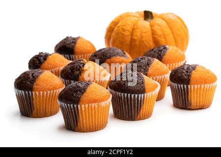 Citrouille fraîche au chocolat et à la citrouille minimuffins isolated on white Banque D'Images