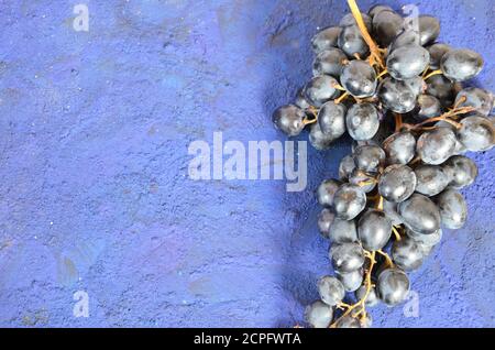 Récolte d'automne, raisins, feuilles tombées en automne, pommes, prunes, cannelle, anis. Raisins sauvages en automne sous la pluie Banque D'Images