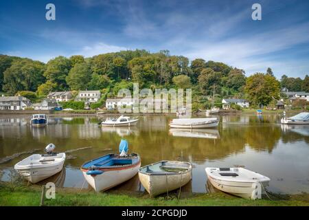 Lerryn est un village situé sur les rives de la rivière Lerryn qui est un affluent de la rivière Fowey ( prononcé Foy ) . La rivière est tida Banque D'Images