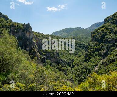 Pistes de montagne boisées, gorge verte, Garganta Verde, Sierra de Cádiz, province de Cádiz, Espagne, Europe Banque D'Images