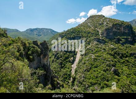 Pentes forestières, gorge verte, Garganta Verde, Sierra de Cadix, province de Cadix, Espagne, Europe Banque D'Images