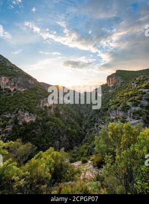 Pentes boisées, gorge verte, Garganta Verde, coucher de soleil, Sierra de Cadix, province de Cadix, Espagne, Europe Banque D'Images