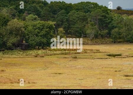 Arne Bay depuis Shipstall Hill Banque D'Images