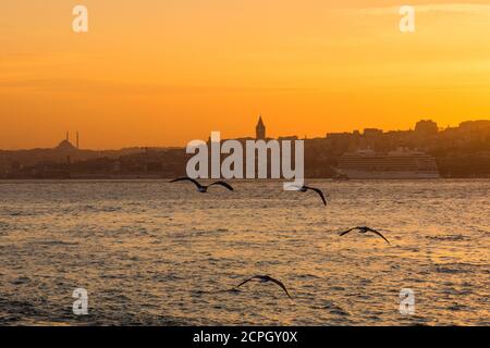 Turquie, Istanbul, Bosphore, Besiktas - Üsküdar ferry, Palais de Topkapi Banque D'Images