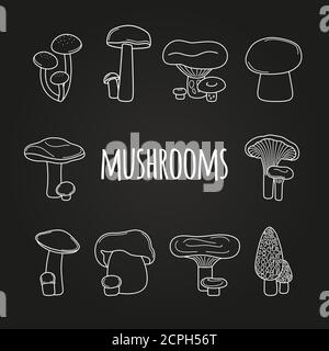 Icônes en forme de champignon à la ligne blanche sur fond de tableau noir, illustration vectorielle Illustration de Vecteur