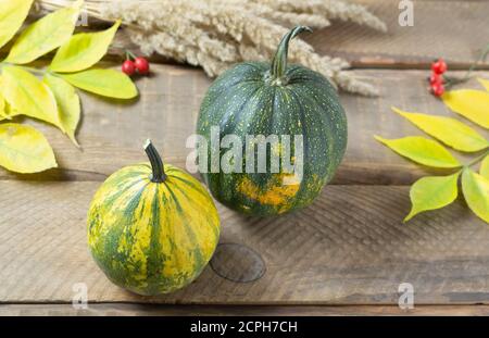 Deux citrouilles avec des feuilles d'automne et des hanches roses sur fond de bois. Mise au point sélective. Orientation horizontale. Banque D'Images