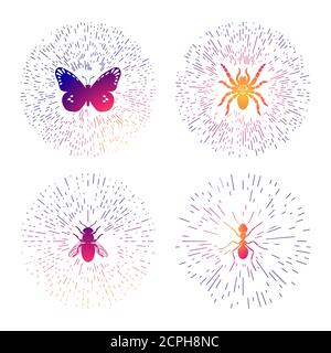 Ensemble de modèles colorés avec logo de la ligne de vêtements taille basse et insectes. Étiquettes insectes fines isolées sur fond blanc. Illustration d'ant et de mouche, d'araignée et de papillon Illustration de Vecteur