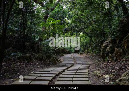 Sentier dans l'aire de loisirs de la forêt nationale de Kenting Banque D'Images