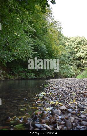 Gros plan sur la rivière Medlock au parc national Daisy NOOK, Manchester Banque D'Images