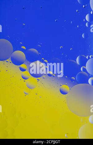 Photo macro du mélange huile et eau. Gouttelettes d'huile au-dessus d'un magnifique fond abstrait coloré créant des cercles et des ovales. Banque D'Images