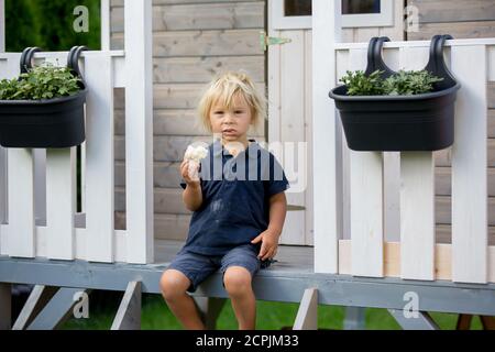 Adorable petit garçon, jouant dans une maison de poupée en bois dans le jardin, regardant dehors Banque D'Images