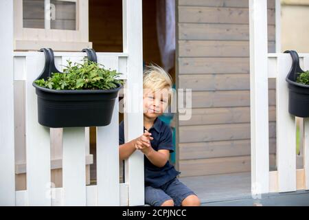 Adorable petit garçon, jouant dans une maison de poupée en bois dans le jardin, regardant dehors Banque D'Images