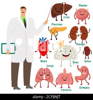 Illustration de vecteur d'organes internes cute médecin et humain. Organe interne, cerveau et estomac, cerveau et cœur Illustration de Vecteur