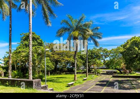 Palmiers, parc, Église catholique de Saint-Anne, Saint-Benoît, Île de la Réunion, France, Afrique, Océan Indien Banque D'Images