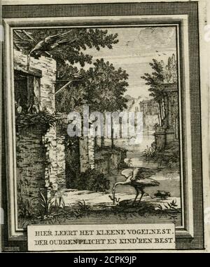 . Daniël Willinks Bloemkrans van christelyke liefde- en zeedevohten ; nevens eenige Christelyke gezangen . KLEENE VOGELNESTDER OUDREN PLICHT en KINDREN BEST, ^^le He het vlugge pluimgediert,JL^UAT op zynlhelie wieken zwiert.Door liefde tot jonetal heen en weer zwertt, Het KYT, He, He been, he, he et Hé, kyt, KLEENE dat greetig hapten met de tengre vlerkjes klapt,Gantfch vrolyk om dit kleen gewin.Hiervinde ik deeze leering in.menfchen van ontaart gemoetVeel nimmer zyn als t pluimgebroet,en dikwils voor hun jeugdig et Zorttookdig Banque D'Images