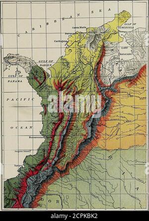. La répartition de la vie des oiseaux en Colombie; une contribution à une étude biologique de l'Amérique du Sud . la montagne dans les trompiquessans à la fois réaliser que la température, comme elle est influencée par l'altitude, est évidemment le facteur dominant dans la production des flores et des faunes en-contred entre la base et le sommet. Là où l'humidité, et dans certains cas, le caractère du sol, ajoutent leur influence, les limites entre les zones de vie sont souvent très fortement définies. On peut passer, par exemple, de la limite supérieure des tropiques arides sur la pente orientale des Andes occidentales à San Antonio dans la dense f Banque D'Images