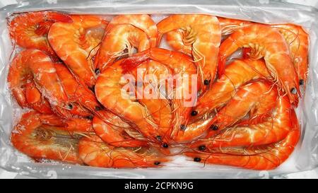 Crevettes fraîches à vendre sur le marché Banque D'Images