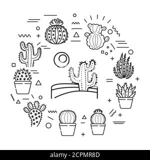 Bannière web circulaire cactus. Infographies avec icônes linéaires sur fond blanc. Concept d'idée créative. Illustration noire avec contour isolé Illustration de Vecteur