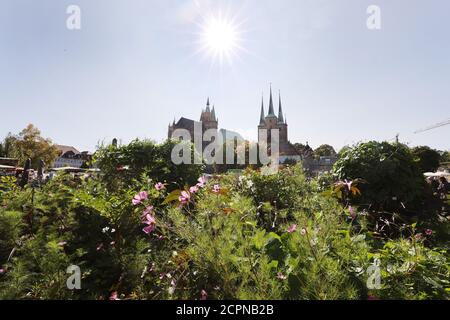 Erfurt, Allemagne. 19 septembre 2020. Le soleil brille sur la cathédrale et l'église Severi sur la place de la cathédrale. Les météorologues ont également prédit des températures agréables à la fin de l'été pour les prochains jours. Credit: Bodo Schackow/dpa-Zentralbild/dpa/Alay Live News Banque D'Images