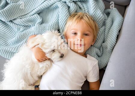 Petit enfant, garçon, allongé au lit avec chien d'animal de compagnie, petit chien maltais Banque D'Images