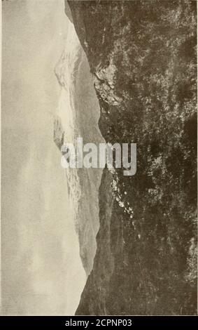 . Le pays des collines et des glens; La vie sauvage à Iona et les Hébrides intérieures . shing lumière de Scarinish sur Tiree, et au nord de cela encore la petite lumière clignotante du Cairnsof Coll semble faible et faible en comparaison avec l'éclat constant de l'Ardnamurchan à quelques kilomètres de lui. Au nord-ouest, la lumière Heiskeir frappe l'obscurité avec ses éclats de requin, et même les rayons du phare de Barra Head, à 60 kilomètres à l'ouest, sont clairement visibles. Puis encore, en tournant vers le sud, on voit les balises montrant les ap-proaches aux îles de la mer, avec leurs currentsand rapides leurs nombreuses roches déchiquetées Banque D'Images