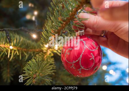 La femme décorera traditionnellement l'arbre de Noël pendant la saison de l'Avent Banque D'Images