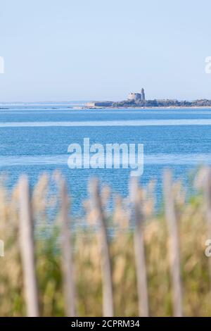 L'île de l'Ile Tatihou appartient à la municipalité de Saint-Vaast-la-Hougue, en Normandie. Baie de Seine. Au-dessus de lui se trouve une tour Vauban de la Banque D'Images